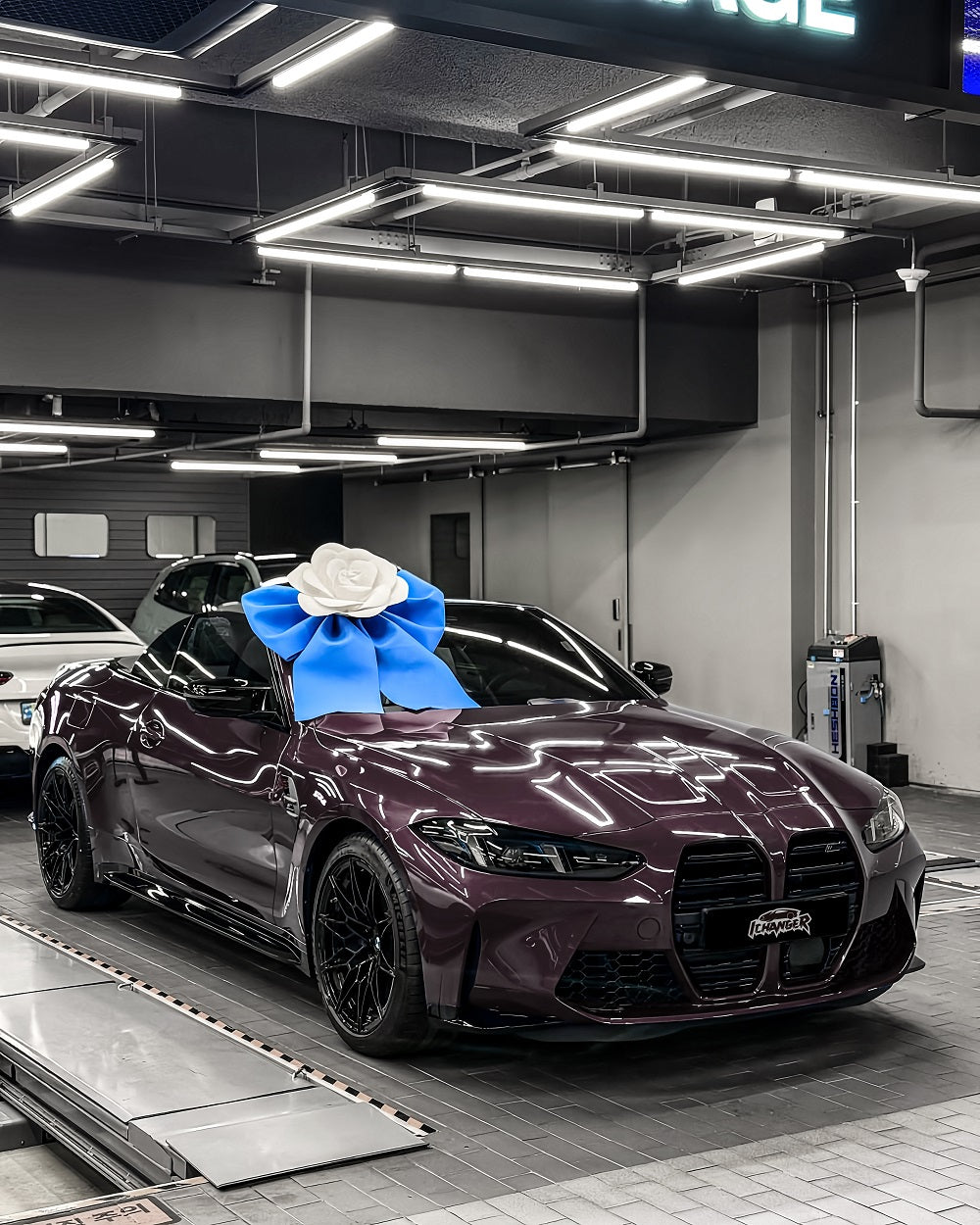 Vinyl Wrap Eva Purple