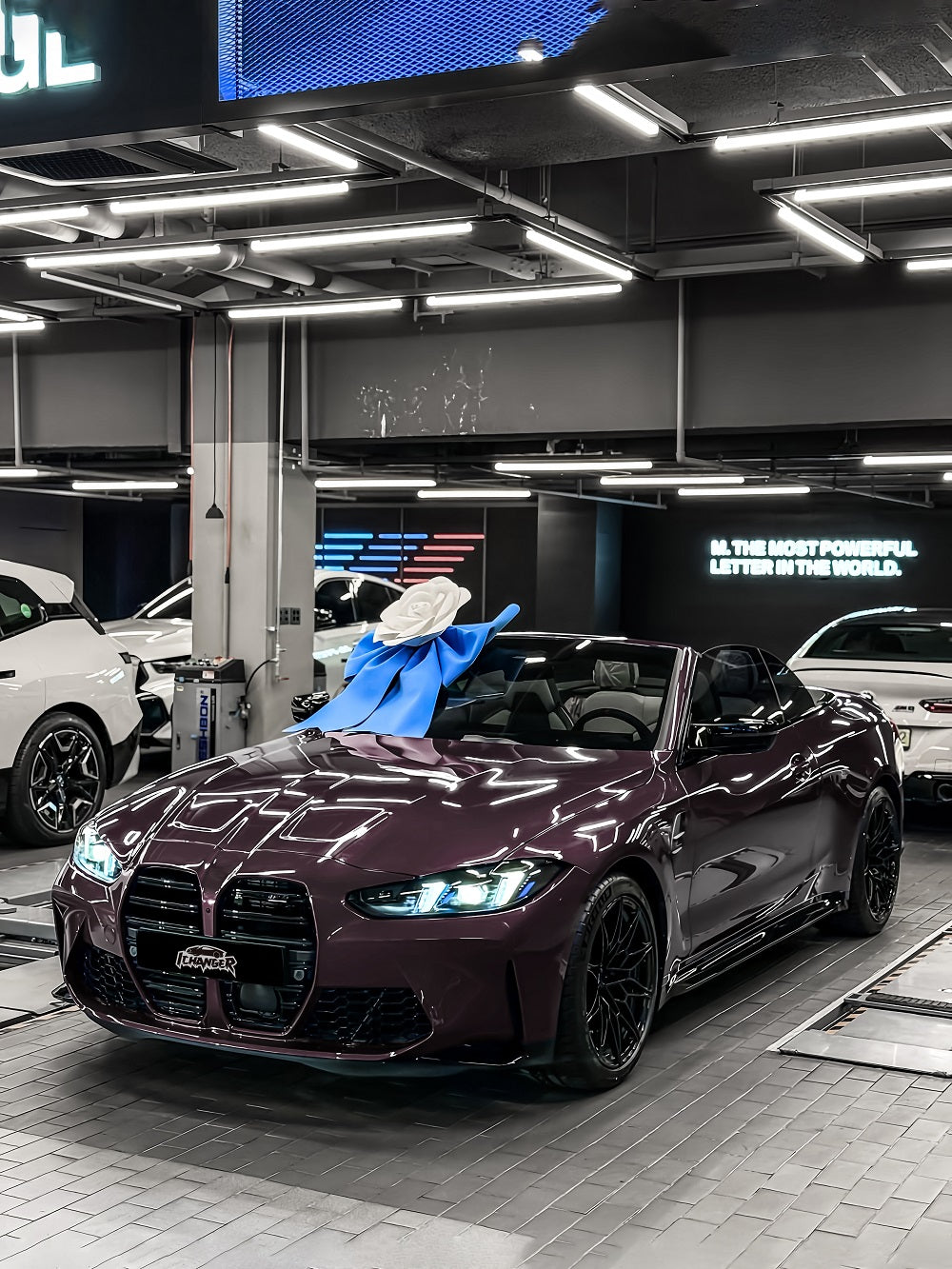 Vinyl Wrap Eva Purple