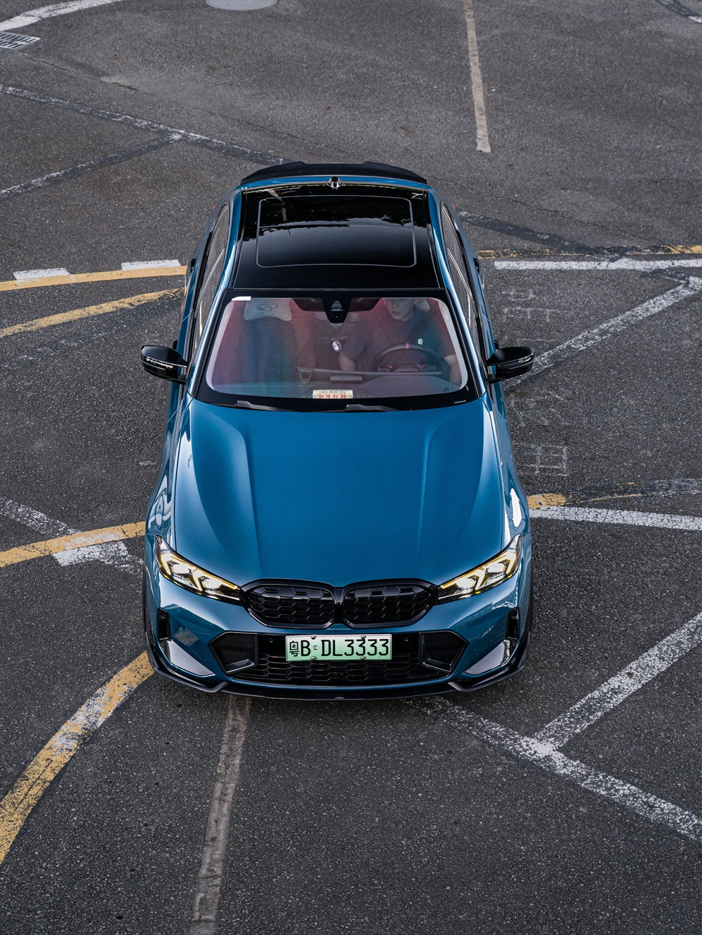 Vinyl Wrap Butterfly Blue