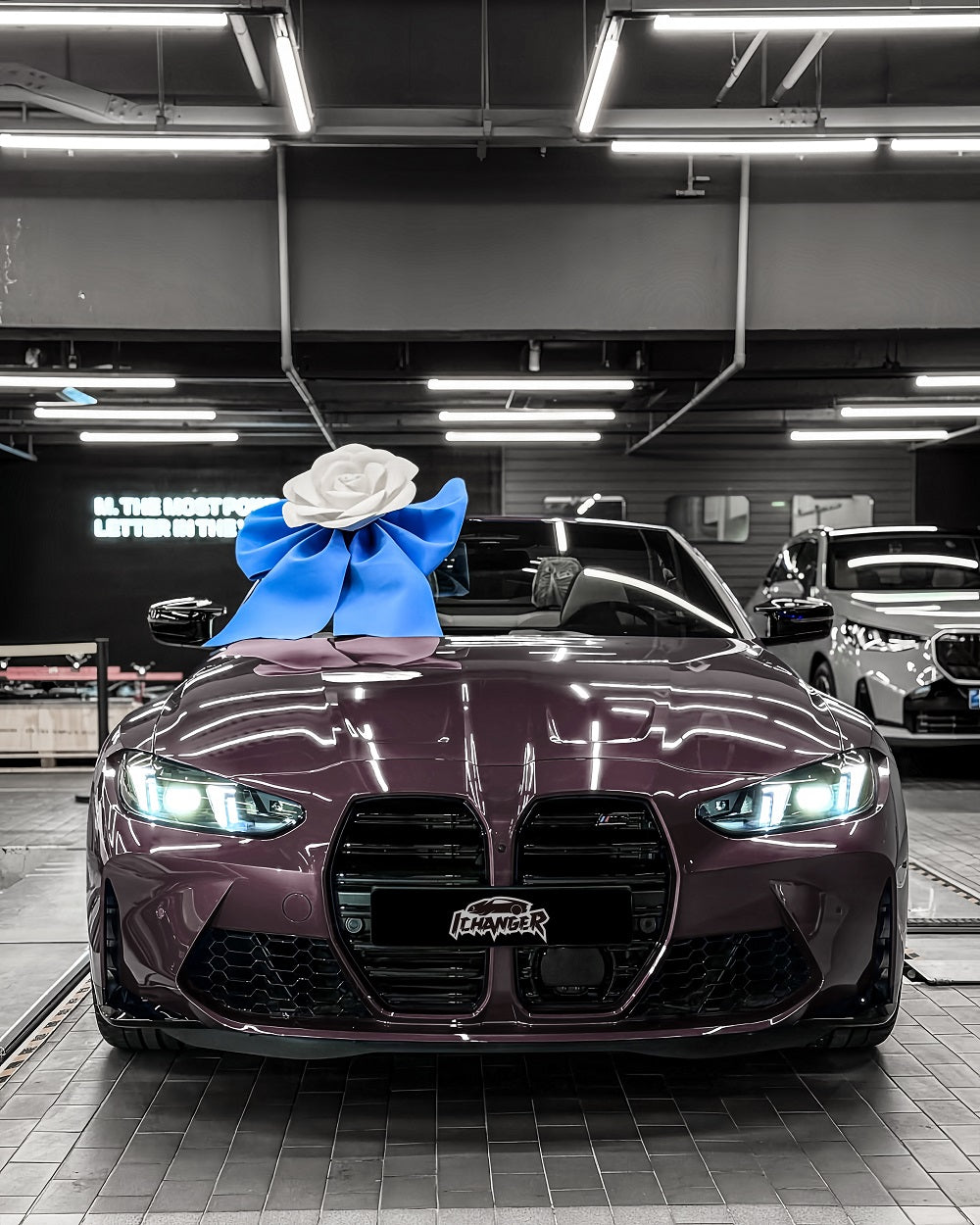 Vinyl Wrap Eva Purple