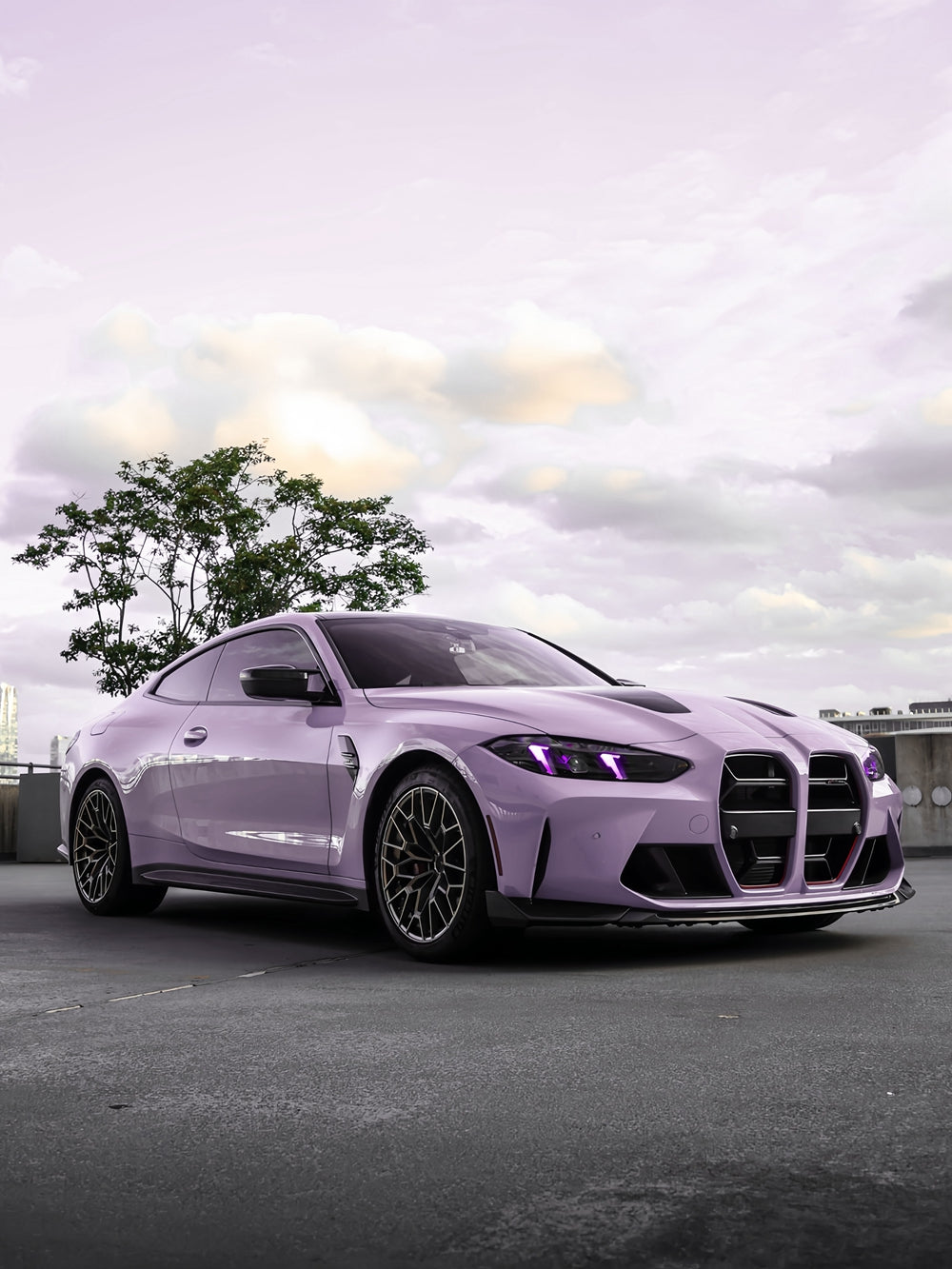 Vinyl Wrap Vola Purple