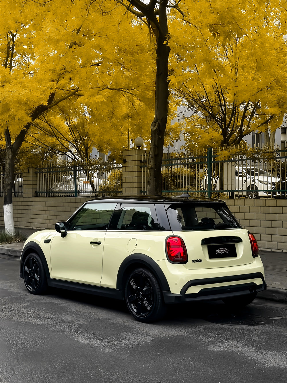 Vinyl Wrap Daisy Yellow For BMW MINI