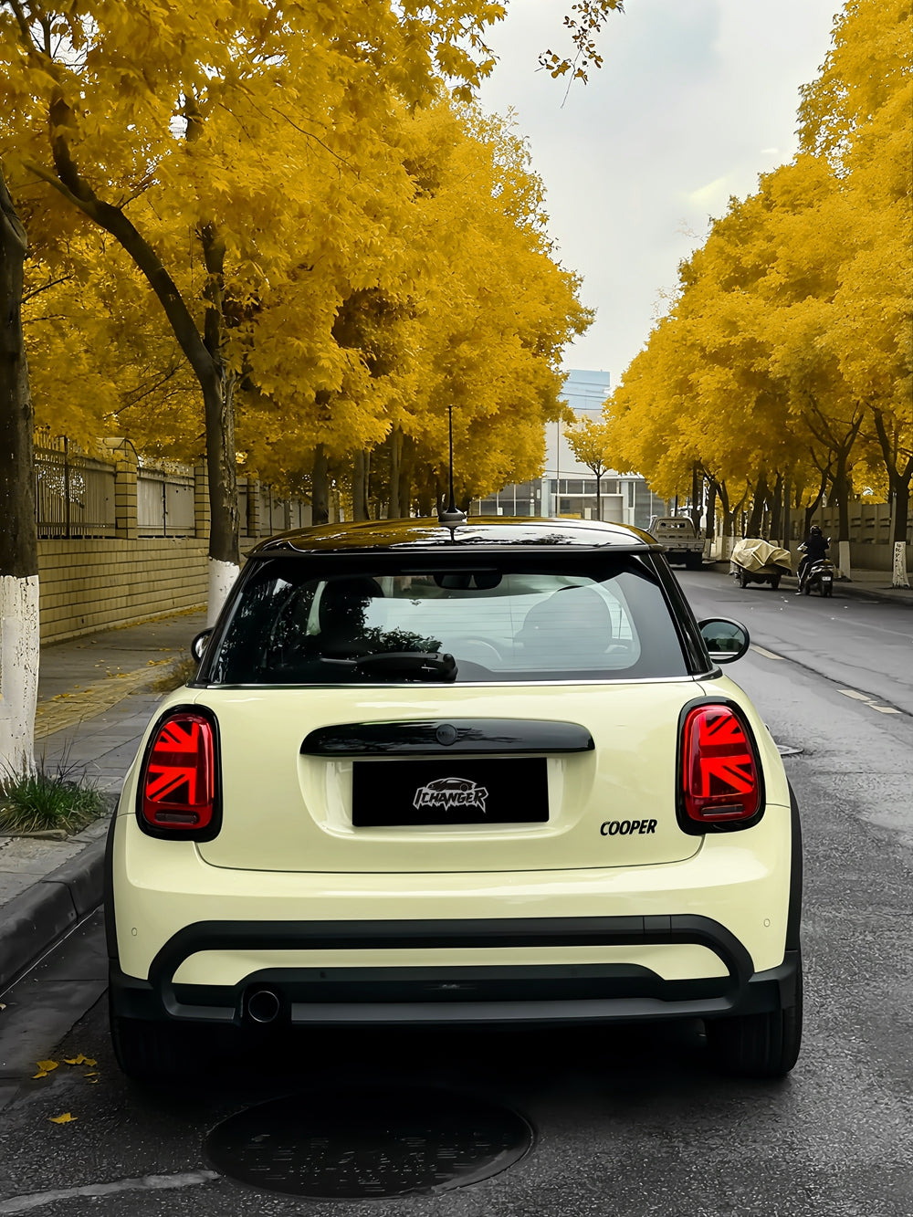 Vinyl Wrap Daisy Yellow For BMW MINI