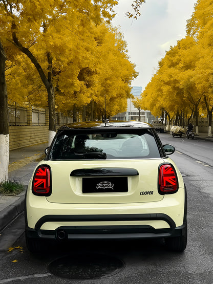 Vinyl Wrap Daisy Yellow For BMW MINI