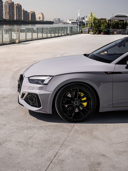 Vinyl Wrapping Lizard Grey