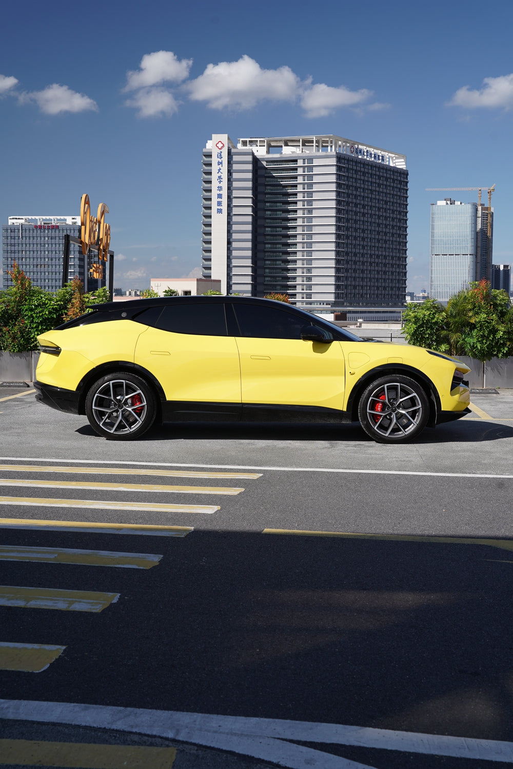 Vinyl Wrap Racing Yellow