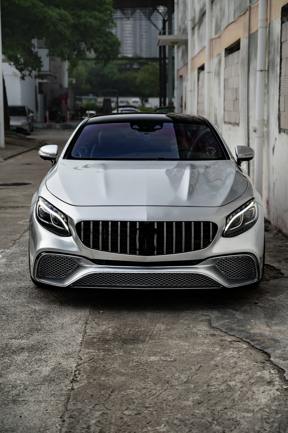 Vinyl Wrap Super Paint Silver