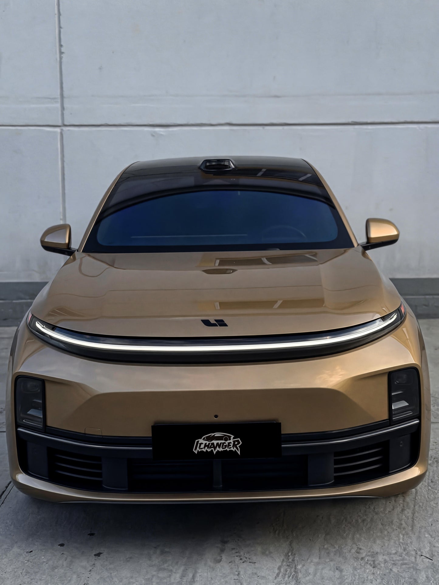 Full Car Vinyl Wrap Film Filber Brown for Li