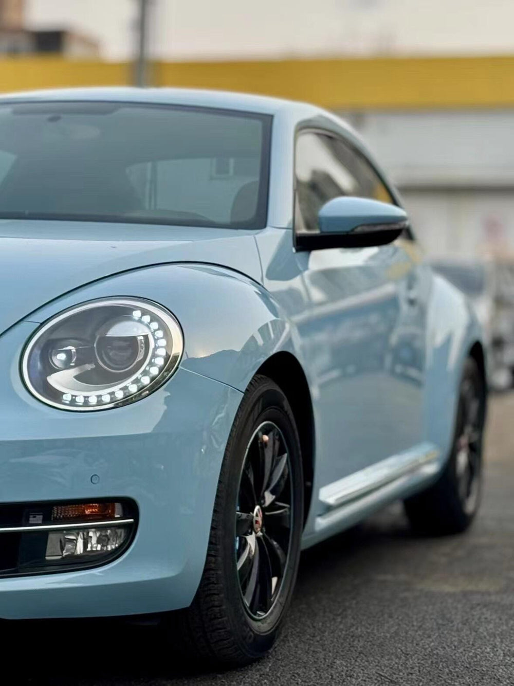 Vinyl Wrap Meissen Blue