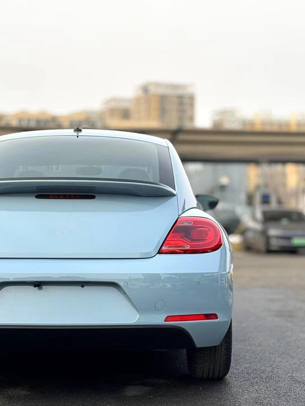 Vinyl Wrap Meissen Blue