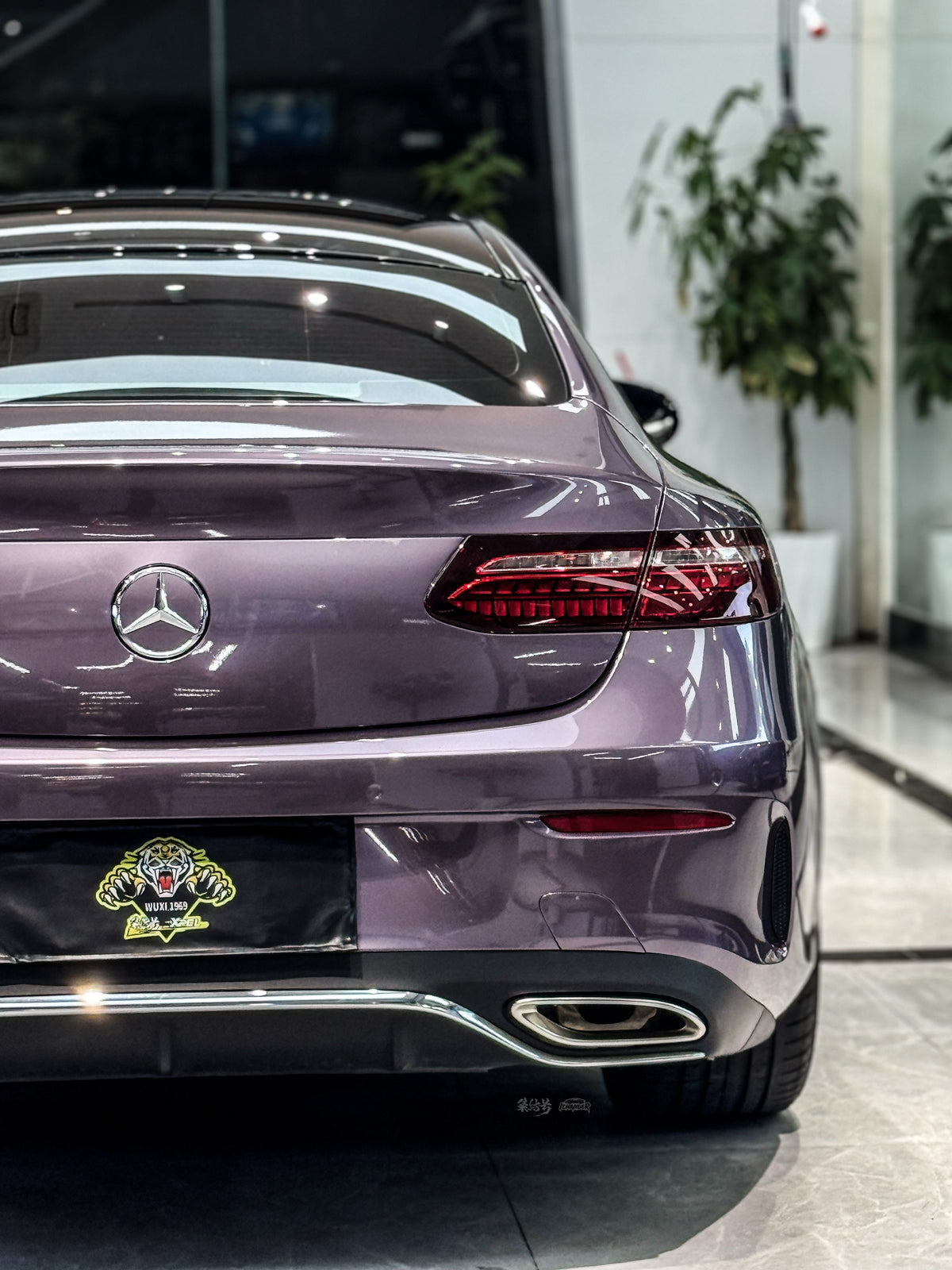 Car Wrap Cost PPF Water Purple for Mercedes Benz