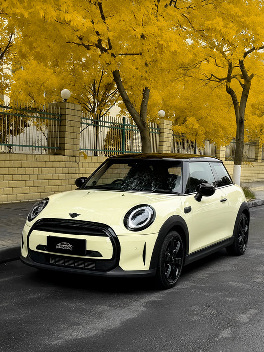 Vinyl Wrap Daisy Yellow For BMW MINI